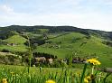 Oberentersbach, Hoefe auf der Nordseite